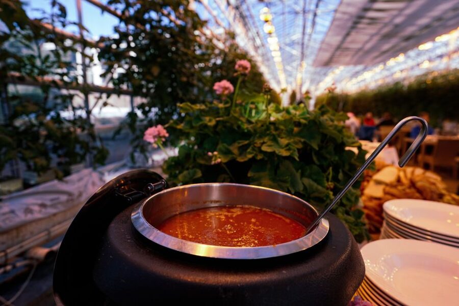 Golden Circle & Lunch at Fridheimar Tomato Farm- with photos - Haukadalur geothermal zone and geysers up to 30 meters
