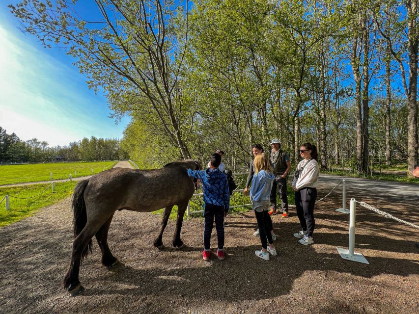 Golden Circle & Lunch at Fridheimar Tomato Farm- with photos - How the guide and small group shape the day