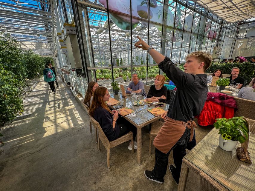 Golden Circle & Lunch at Fridheimar Tomato Farm- with photos - Pace, timing, and what 7 hours really means