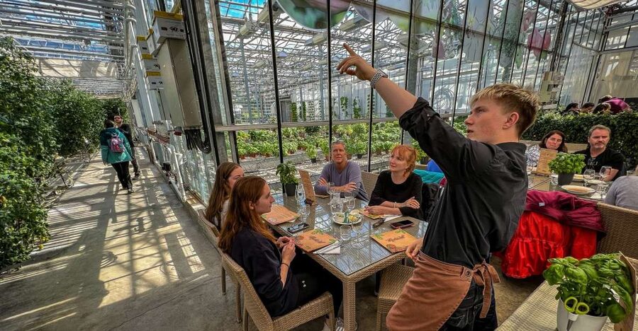 Golden Circle & Lunch at Fridheimar Tomato Farm- with photos - Price and value: does $253 pencil out?