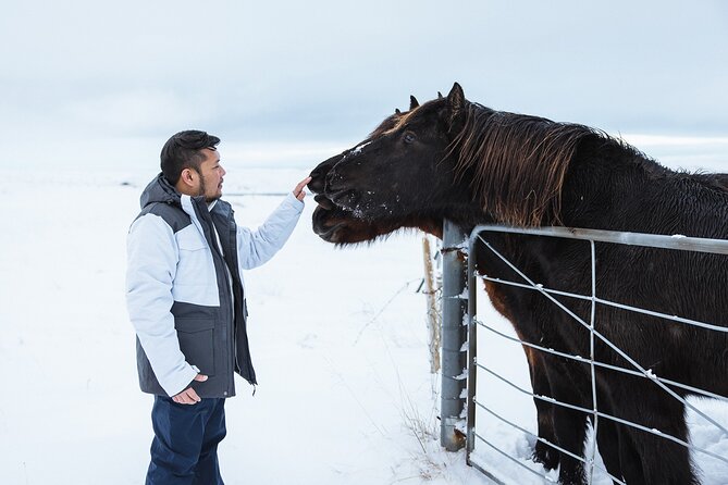 Golden Circle | Private Tour | PRO Photo Package - Þingvellir National Park: walking between continents, not just looking