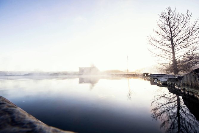 Golden Circle, Secret Lagoon and Kerid Crater Tour from Reykjavik - What the guide and driver quality adds to your day