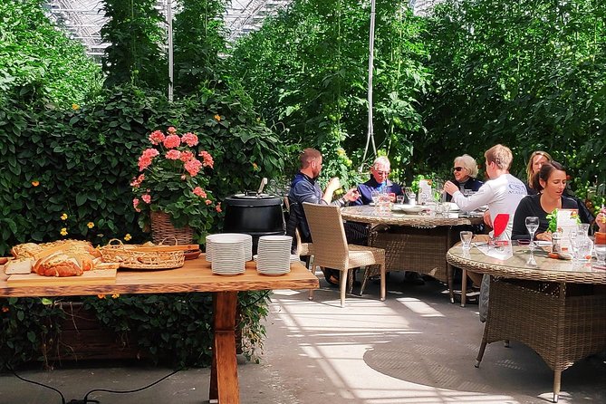 Golden Circle & Secret Lagoon Luxury Private Tour in a new luxury Mercedes Benz - Friðheimar tomato greenhouses and a geothermal lunch stop that actually tastes different