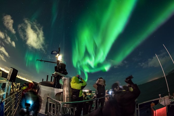 Golden Circle Tour and Evening Northern Lights Cruise from Reykjavik - A One-Ticket Day of Iceland’s Geology, Plus a Night Shot at Aurora