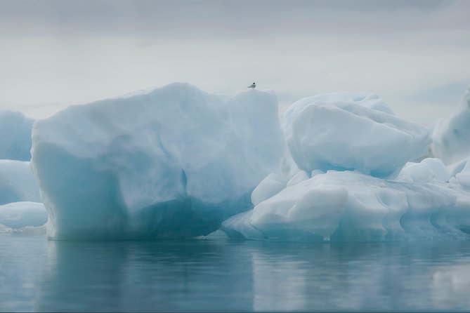 Guided Glacier Lagoon and Diamond Beach Day Trip from Reykjavik - Diamond Beach: the short stop that works because it’s so different