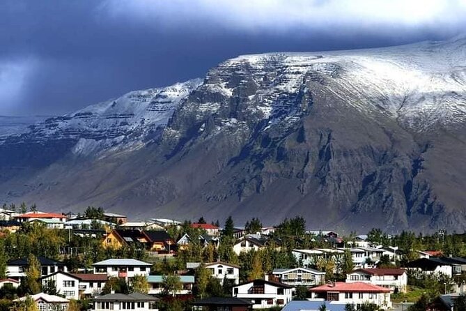 Helicopter Tour: Reykjavik City with landing at Mount Esja - Quick hits you will care about