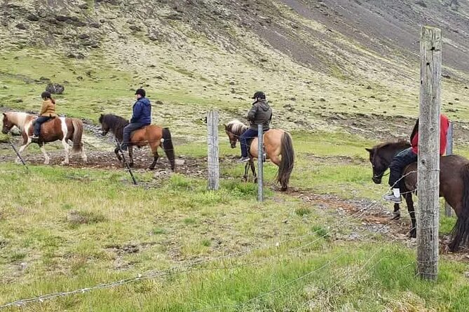 Horse Riding Tour in Reykjadalur (Smoky Valley)-All Riding Levels - Why Reykjadalur is a sweet spot from Reykjavik