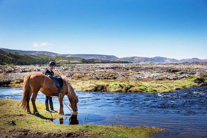 Horseback Riding Tour in Iceland - Entering the Ishestar Horse Riding Centre near Reykjavik