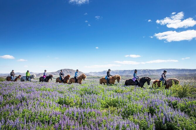 Horseback Riding Tour in Iceland - Dress for rubber boots and Iceland weather, not for comfort theater