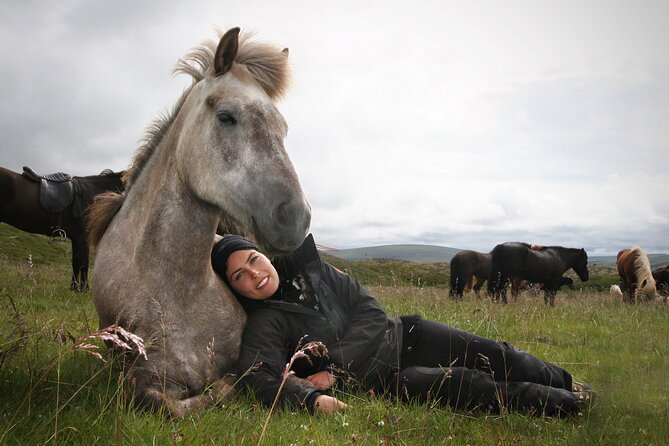 Horseback Riding Tour in Iceland - Price and value: what $135.16 buys you