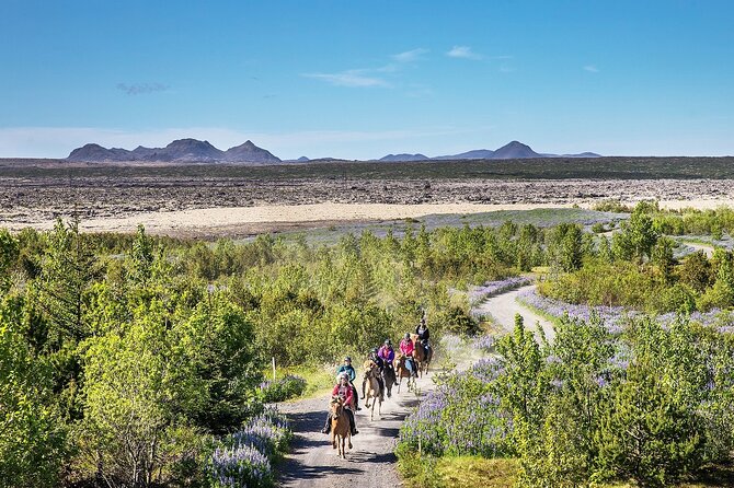 Horseback Riding Tour in Iceland - The ride route: moss-covered lava fields and Bláfjöll panoramas