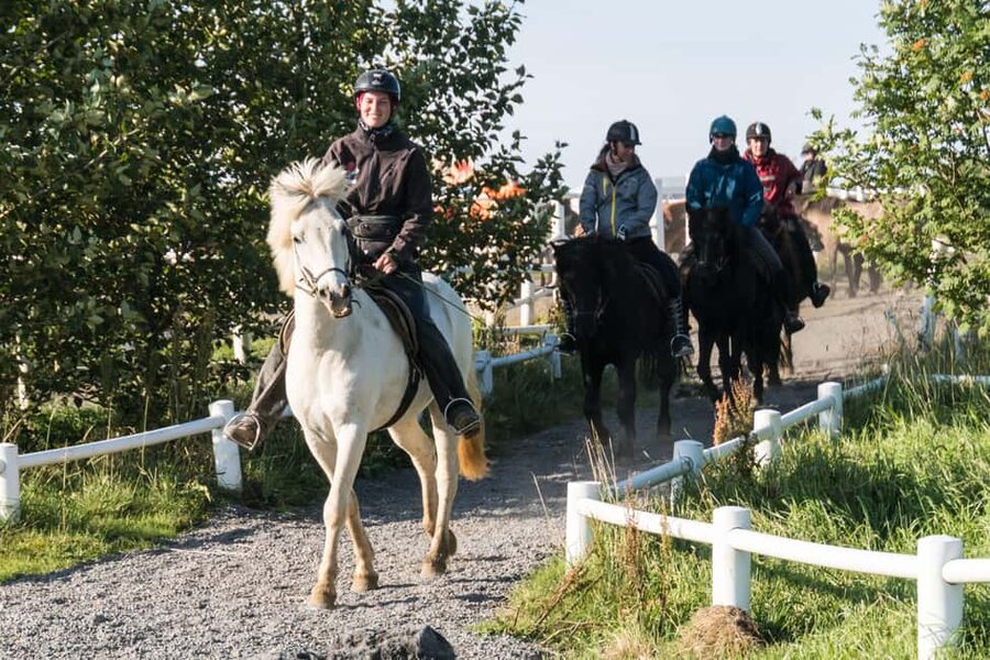 Hveragerdi: The Siggi Horse Riding Tour - Arrival at Vellir, parking, and the smooth start near Hveragerði