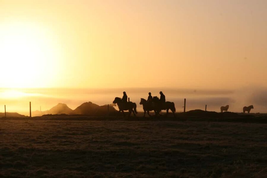 Hveragerdi: The Siggi Horse Riding Tour - The trail mix: meadows, lava ground, river, and working farms