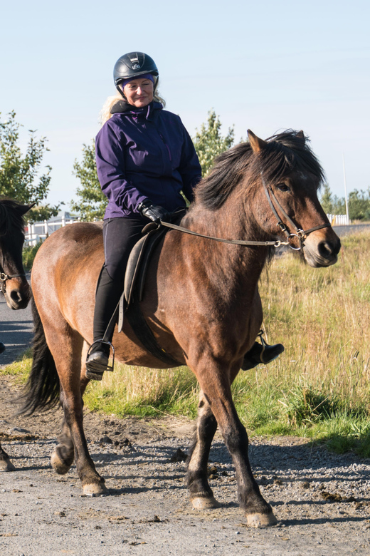 Hveragerdi: The Siggi Horse Riding Tour - Tölt training with Icelandic horses, what it feels like