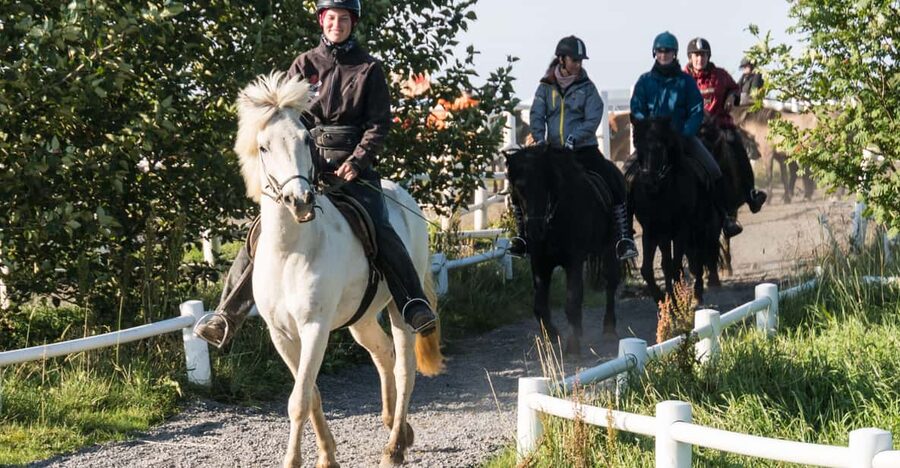 Hveragerdi: The Siggi Horse Riding Tour - Price and transfers from Reykjavík: value for $136