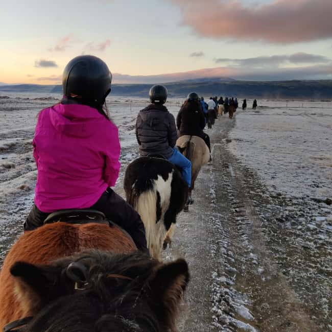 Hveragerdi: The Siggi Horse Riding Tour - Pace, group dynamics, and comfort on the trail