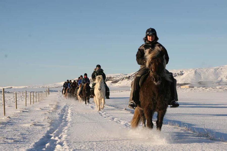 Hveragerdi: The Siggi Horse Riding Tour - Who should book this Hveragerði Siggi ride