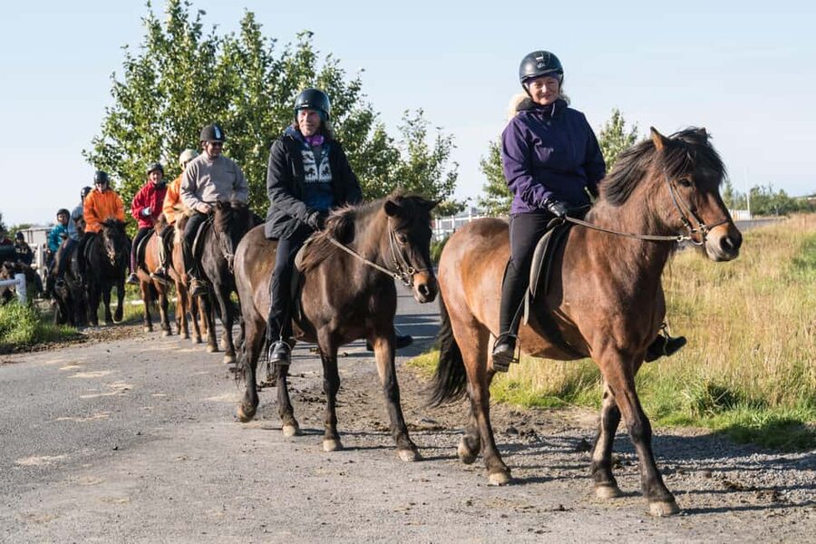 Hveragerdi: The Siggi Horse Riding Tour - What happens on the Ölfus ride in 2 hours