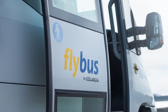 Iceland: Airport Transfer Between Reykjavík Center and Keflavík - The 45-minute drive, what the ride feels like