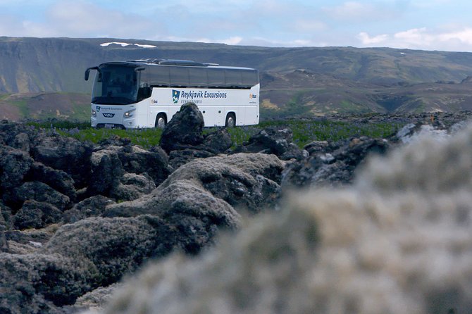 Iceland: Airport Transfers between Keflavík and Reykjavik Center - Keflavík to Reykjavík in One Clear Move