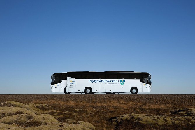Iceland: Airport Transfers between Keflavík and Reykjavik Center - Boarding and Your Mobile Ticket