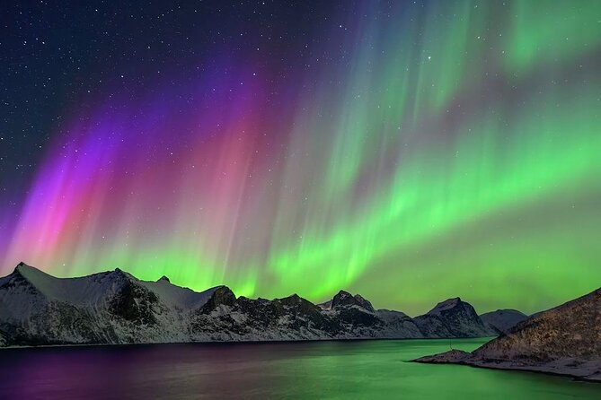 Iceland Northern Lights Tour Magical Winter Night Experience - Pricing and Value: What $798.49 Per Group Buys You
