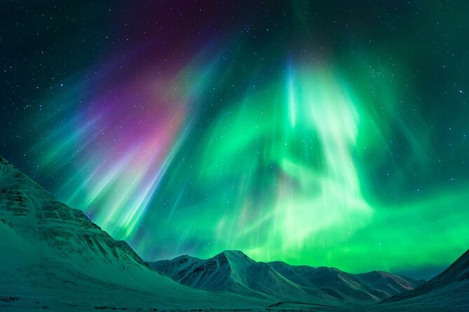 Iceland Northern Lights Tour Magical Winter Night Experience - Who This Tour Suits Best