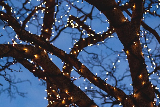 Iceland's Christmas Myths and Traditions - Reykjavík walking tour - The appeal of Christmas myths in Reykjavik’s center