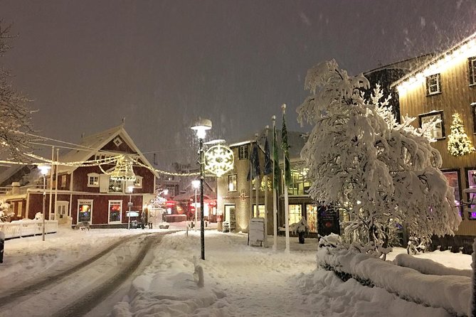 Iceland's Christmas Myths and Traditions - Reykjavík walking tour - The walking format: good pace, small-group focus