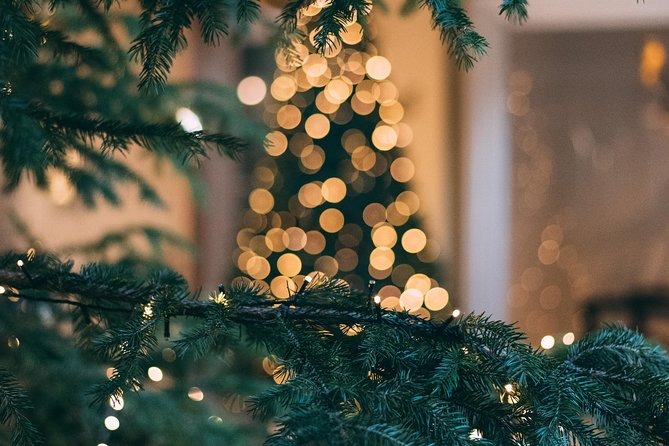Iceland's Christmas Myths and Traditions - Reykjavík walking tour - Price and value: what you are really paying for