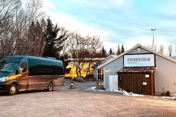 Iceland's Golden Circle in Spanish with Pickup Included - Pickup in Reykjavik, Spanish-English Guiding, and Your Morning Timing
