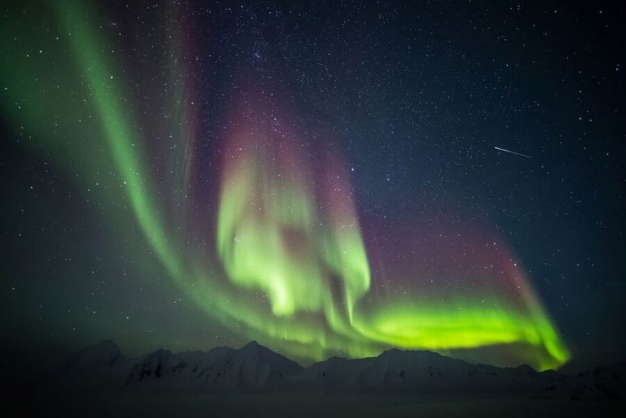 Iceland: South Coast and Northern Lights Tour - Guides make the difference, especially on big group days