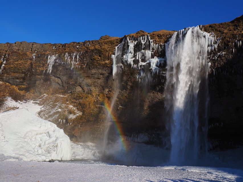 Iceland: South Coast and Northern Lights Tour - Vík: the ring road village that breaks up the long day