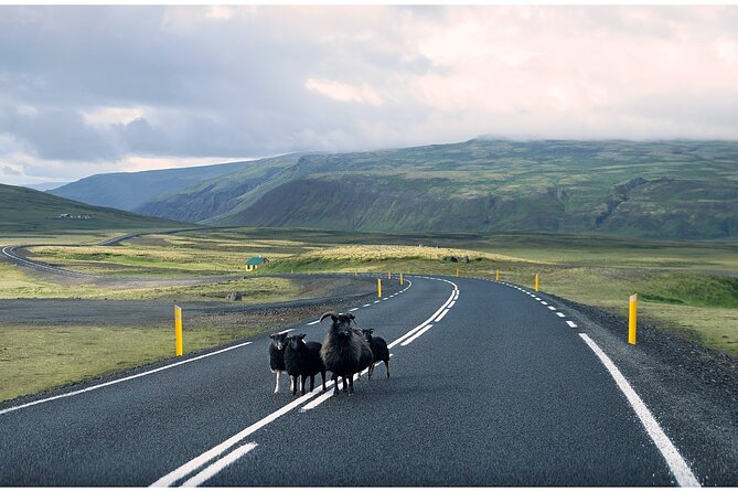 Iceland South Coast Tour with Pickup - Solheimajokull Glacier: the moment that makes the whole day feel real