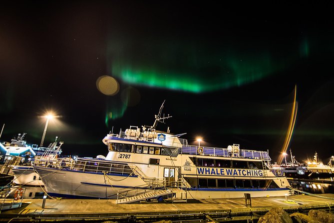 Iceland Super Saver: Northern Lights Cruise plus Whale-Watching Tour from Reykjavik - Getting There: Meeting Point and Pickup Reality Check