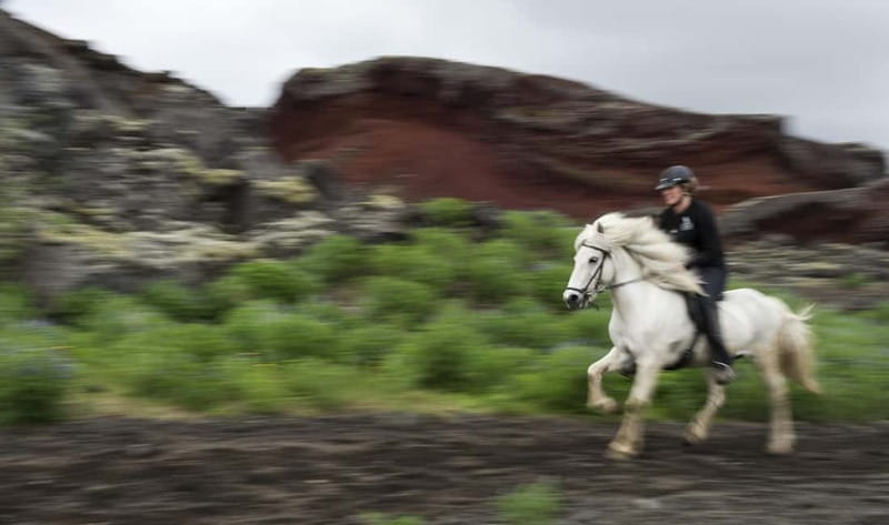Iceland: Volcanic Landscape Horse Riding Tour - Meet The Icelandic Horses At Islenski Hesturinn