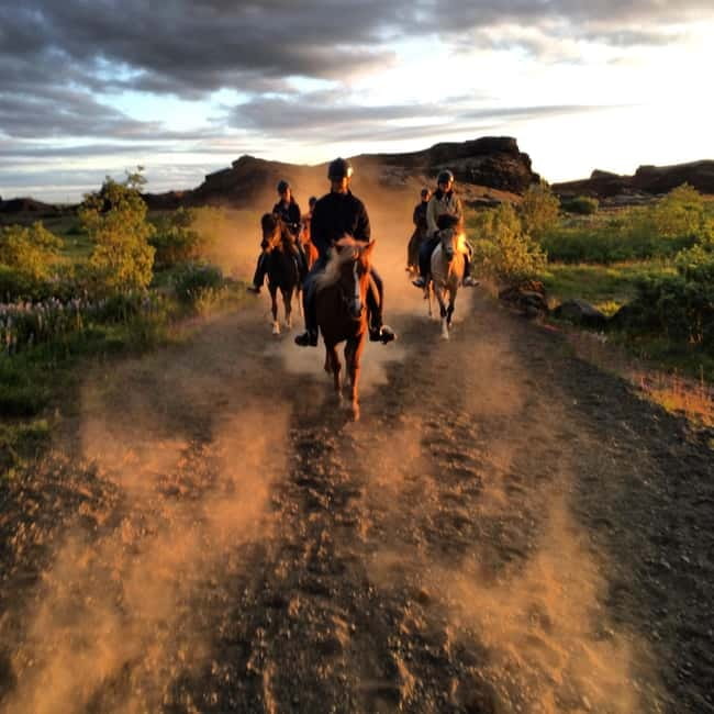 Iceland: Volcanic Landscape Horse Riding Tour - What’s Included, What Isn’t, And The Real Value Of $200