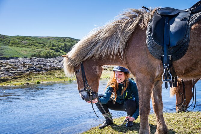 Icelandic Horse Riding and Whale Watching Tour from Reykjavik - Key things to plan around