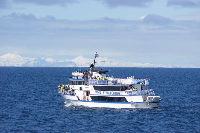 Icelandic Horse Riding and Whale Watching Tour from Reykjavik - From horse tack to Old Harbor: lunch break and boat transition