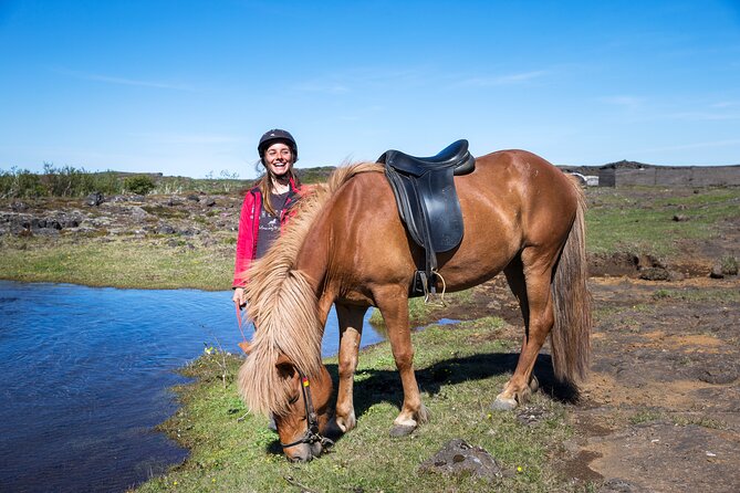 Icelandic Horse Riding and Whale Watching Tour from Reykjavik - Faxaflói Bay whale watching: what to expect on the boat