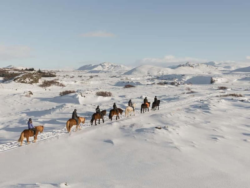 Icelandic Horse Riding Tour & Pickup Option from Reykjavik - Why ride Icelandic horses so close to Reykjavik?