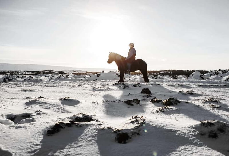 Icelandic Horse Riding Tour & Pickup Option from Reykjavik - The 1.5-2 hour route: lava fields, rocks, and the tölt gait