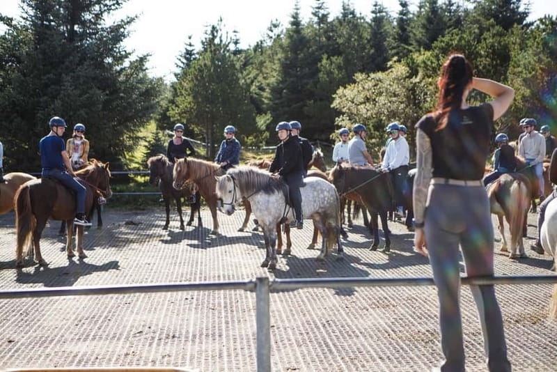 Icelandic Horse Riding Tour & Pickup Option from Reykjavik - Who this tour fits, and who should skip it