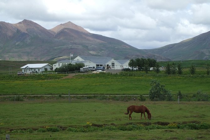 Icelandic Horseback Riding Tour Including Pick Up from Reykjavik - Gear That Turns Winter Nerves Into Warm Confidence