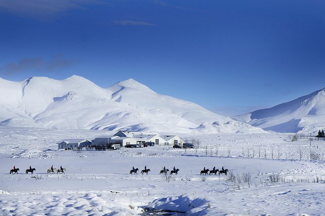 Icelandic Horseback Riding Tour Including Pick Up from Reykjavik - Family-Run Farm Vibes and That Post-Ride Warm-Up