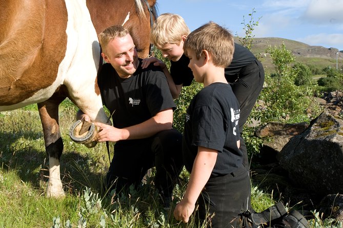 Icelandic Horseback Riding Tour Including Pick Up from Reykjavik - Price and Value: Is $152.37 Worth It?