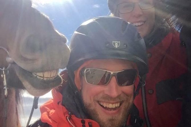 Icelandic Horseback Riding Tour Including Pick Up from Reykjavik - Who This Tour Suits Best (And Who Should Rethink It)