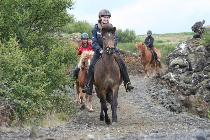 Icelandic Horseback Riding Tour with Pickup Option from Reykjavik - Key Points to Know Before You Ride
