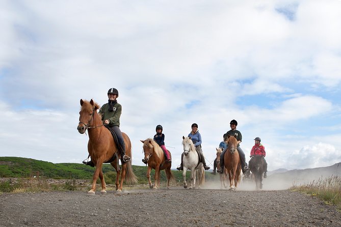 Icelandic Horseback Riding Tour with Pickup Option from Reykjavik - Meeting Your Instructor and Getting “Tölt Ready”