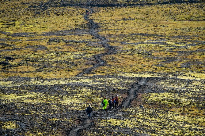 Inside the Volcano: Small-Group Tour and Lava Field Hike - Small groups, real guidance, and what the guides actually do